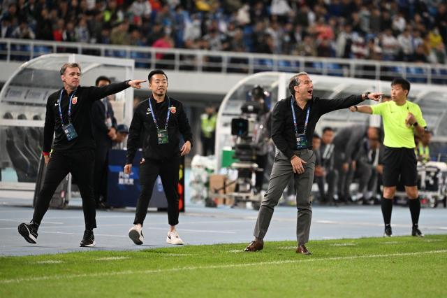 1684123536133097866.jpg 哈维尔.jpg